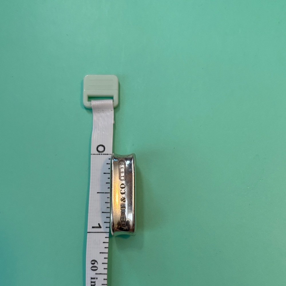 J53 Authentic Tiffany and Co pendant